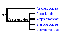 taxon links