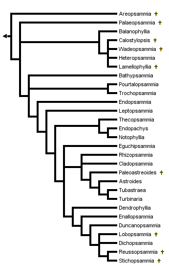 taxon links