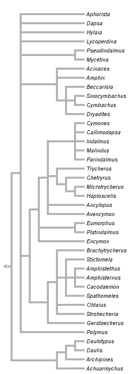 taxon links