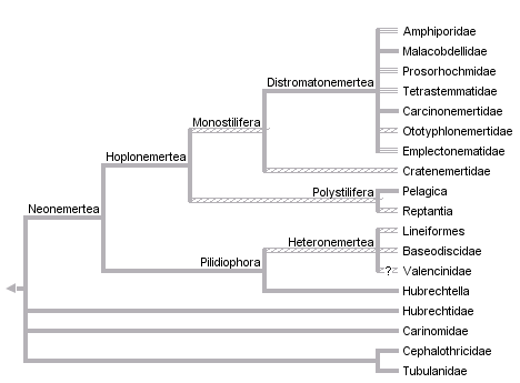 taxon links