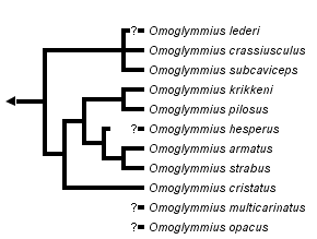 taxon links