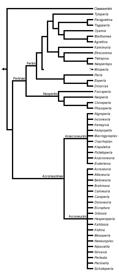 taxon links