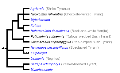 taxon links