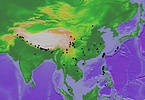 Map of known records of Nicrophorus nepalensis